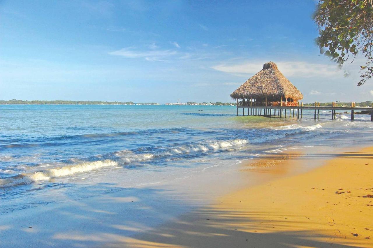 Playa Tortuga Hotel And Beach Resort Bocas del Toro Facilités photo